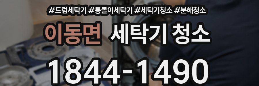 이동면 세탁기 청소