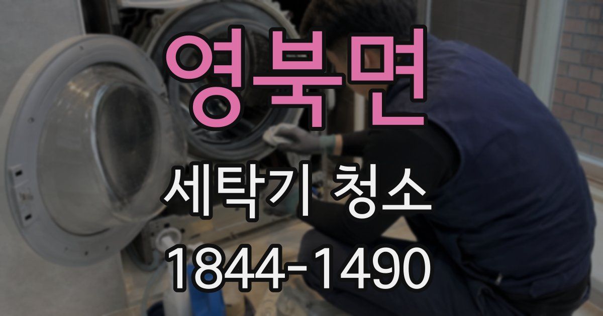 영북면 세탁기 청소