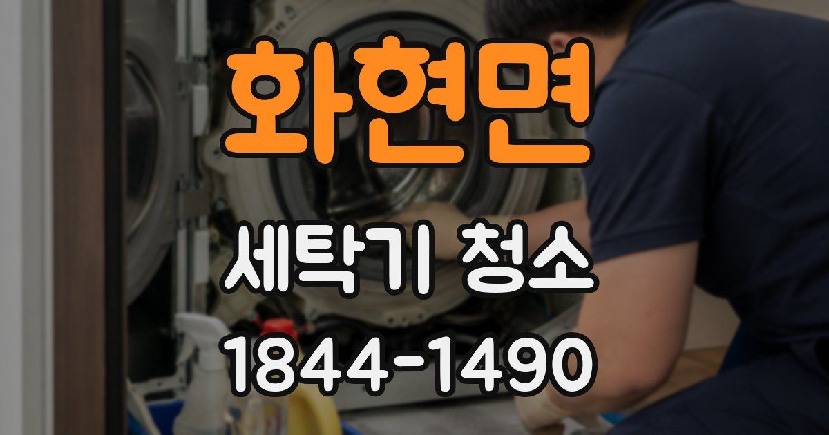 화현면 세탁기 청소
