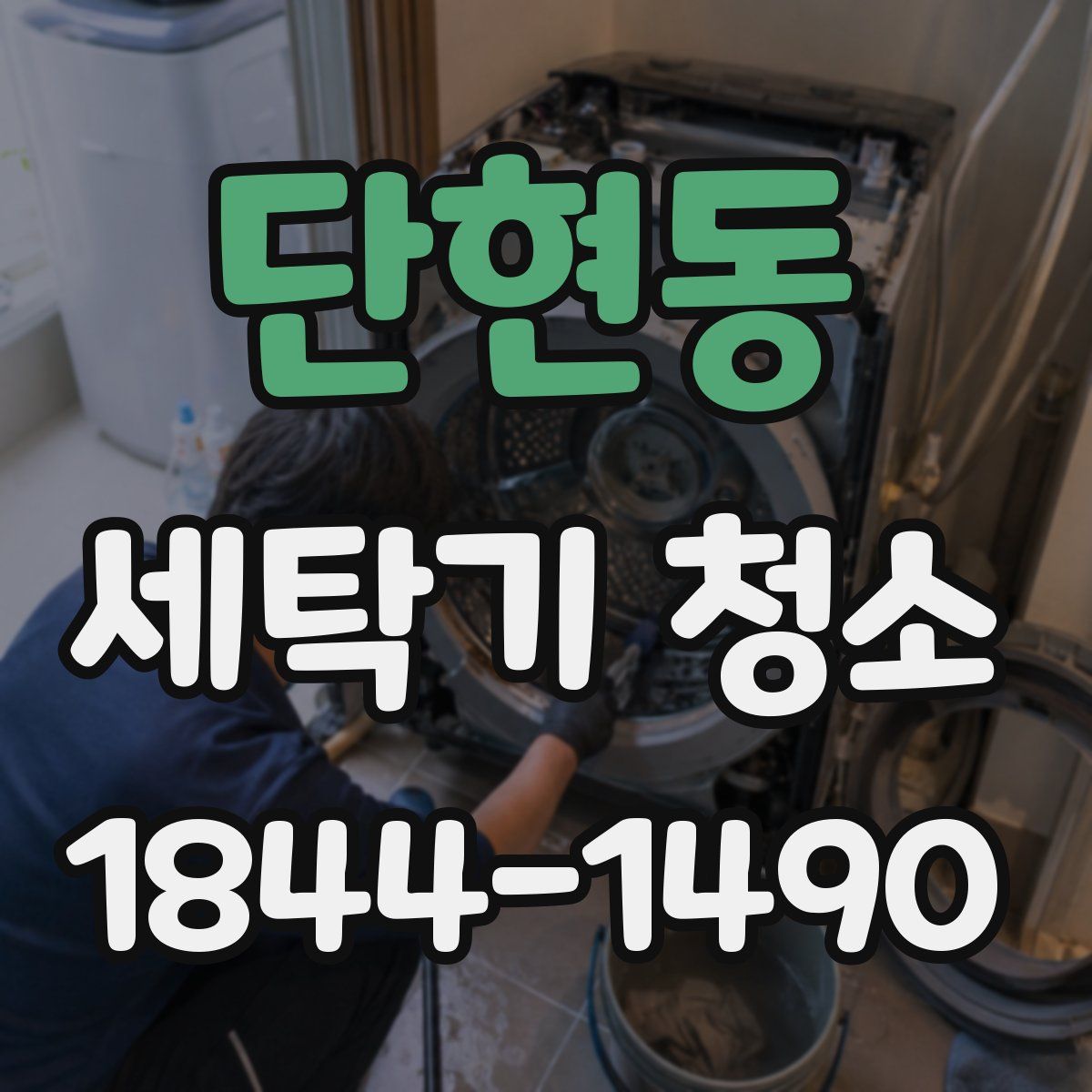단현동 세탁기 청소