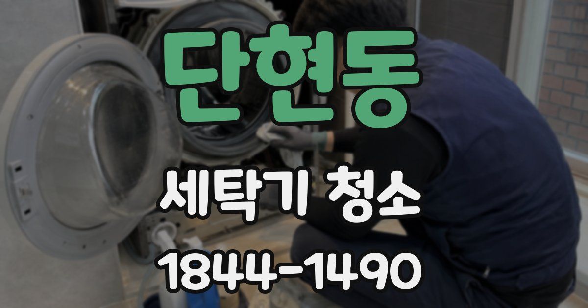 단현동 세탁기 청소