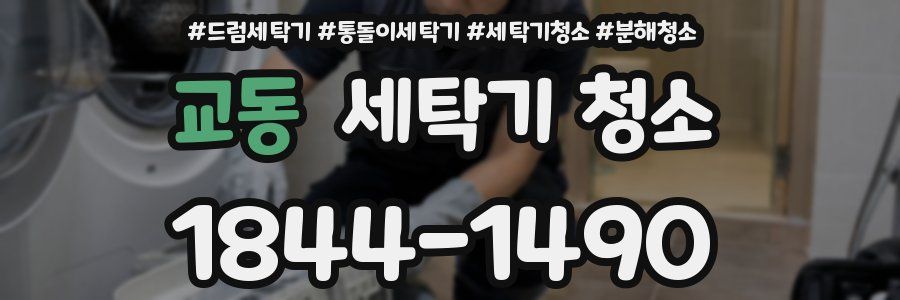 교동 세탁기 청소