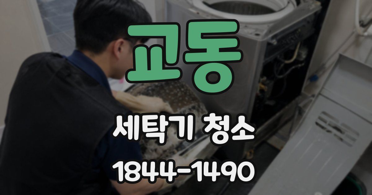 교동 세탁기 청소