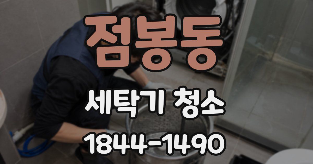 점봉동 세탁기 청소