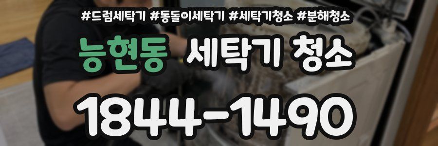 능현동 세탁기 청소