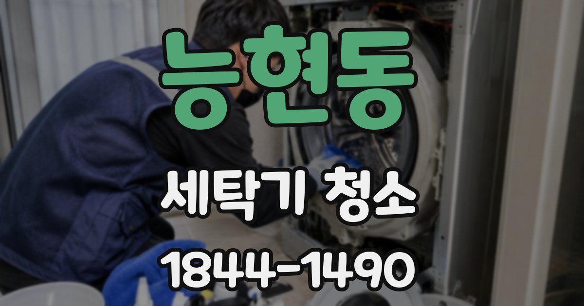 능현동 세탁기 청소