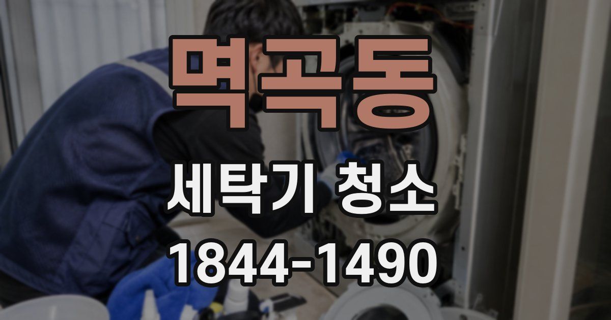 멱곡동 세탁기 청소