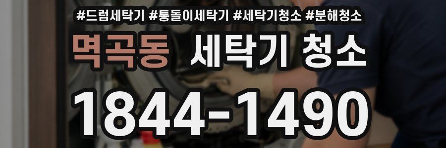 멱곡동 세탁기 청소