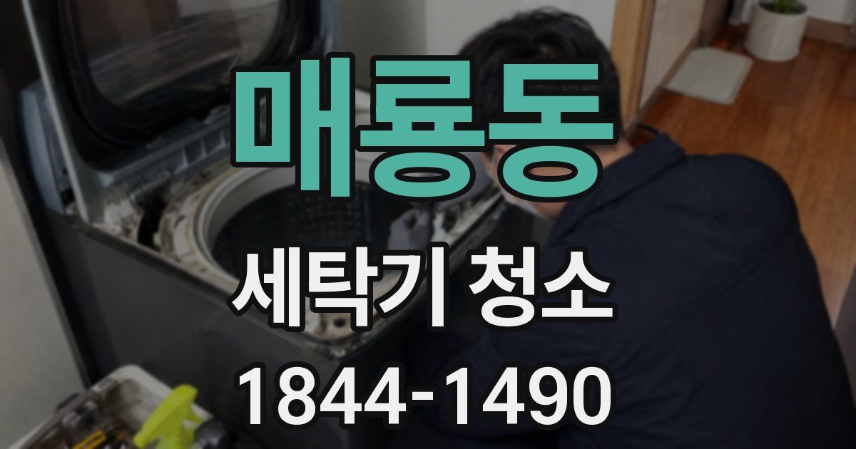 매룡동 세탁기 청소