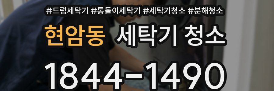 현암동 세탁기 청소