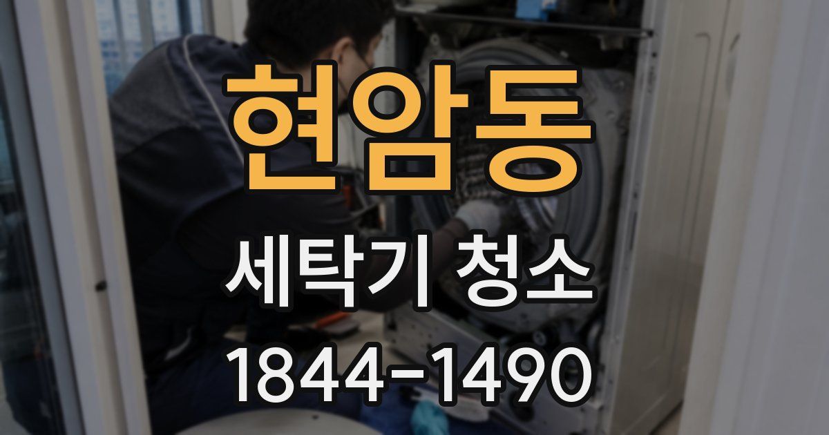 현암동 세탁기 청소