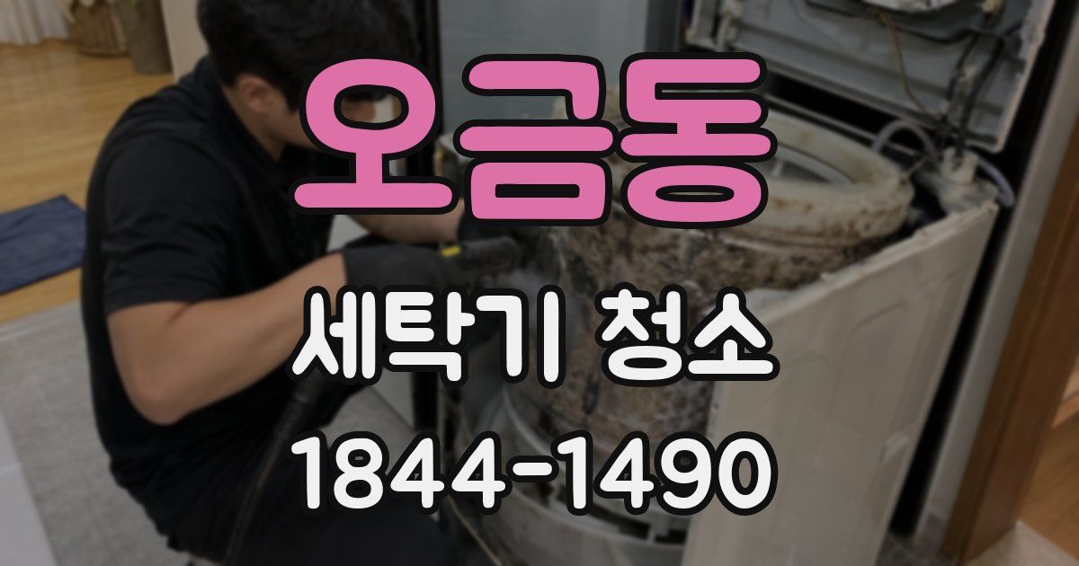 오금동 세탁기 청소