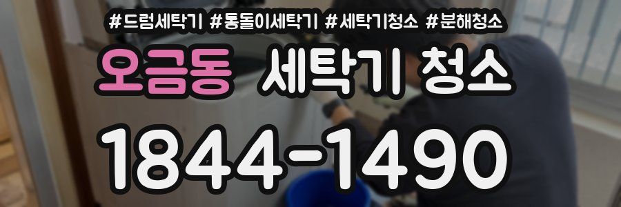 오금동 세탁기 청소