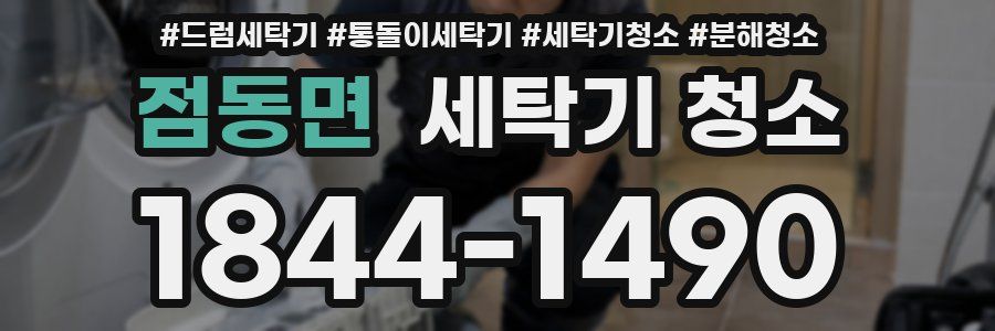 점동면 세탁기 청소