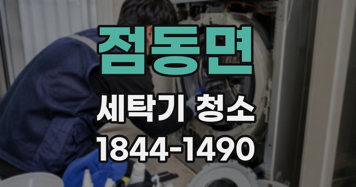 점동면 세탁기 청소