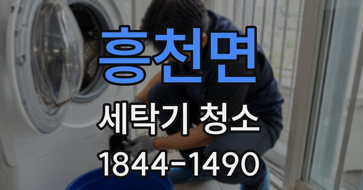 흥천면 세탁기 청소