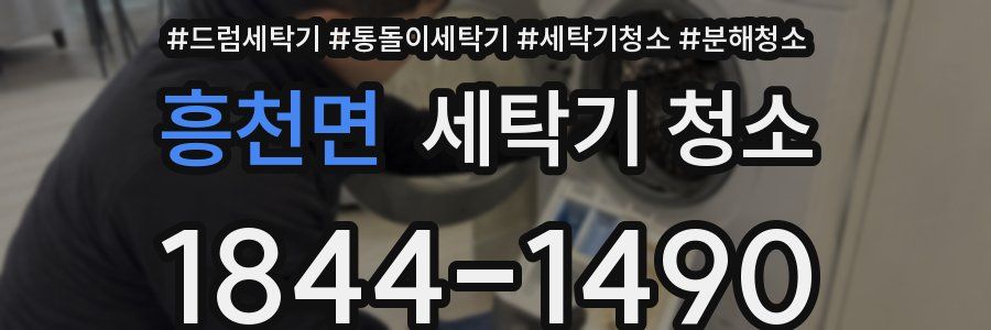 흥천면 세탁기 청소
