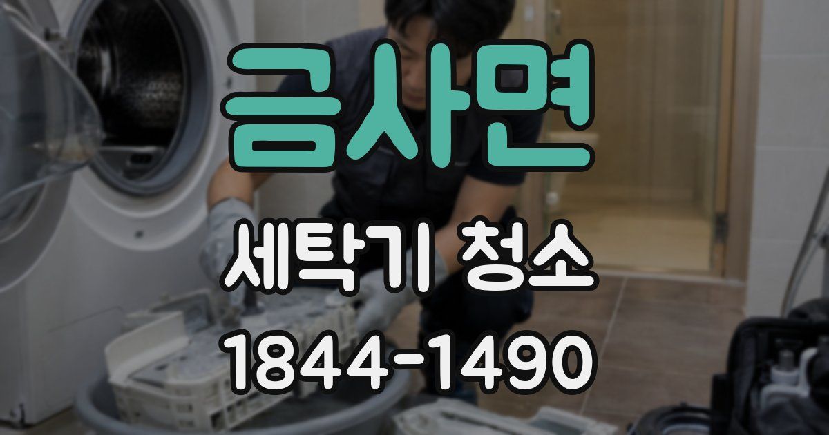 금사면 세탁기 청소