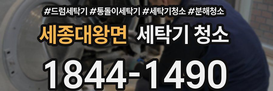 세종대왕면 세탁기 청소
