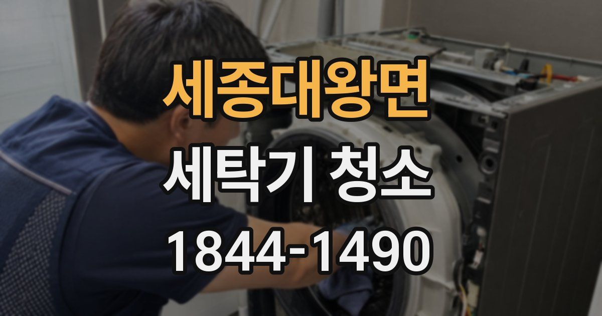 세종대왕면 세탁기 청소