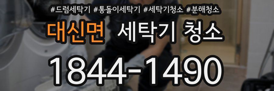 대신면 세탁기 청소