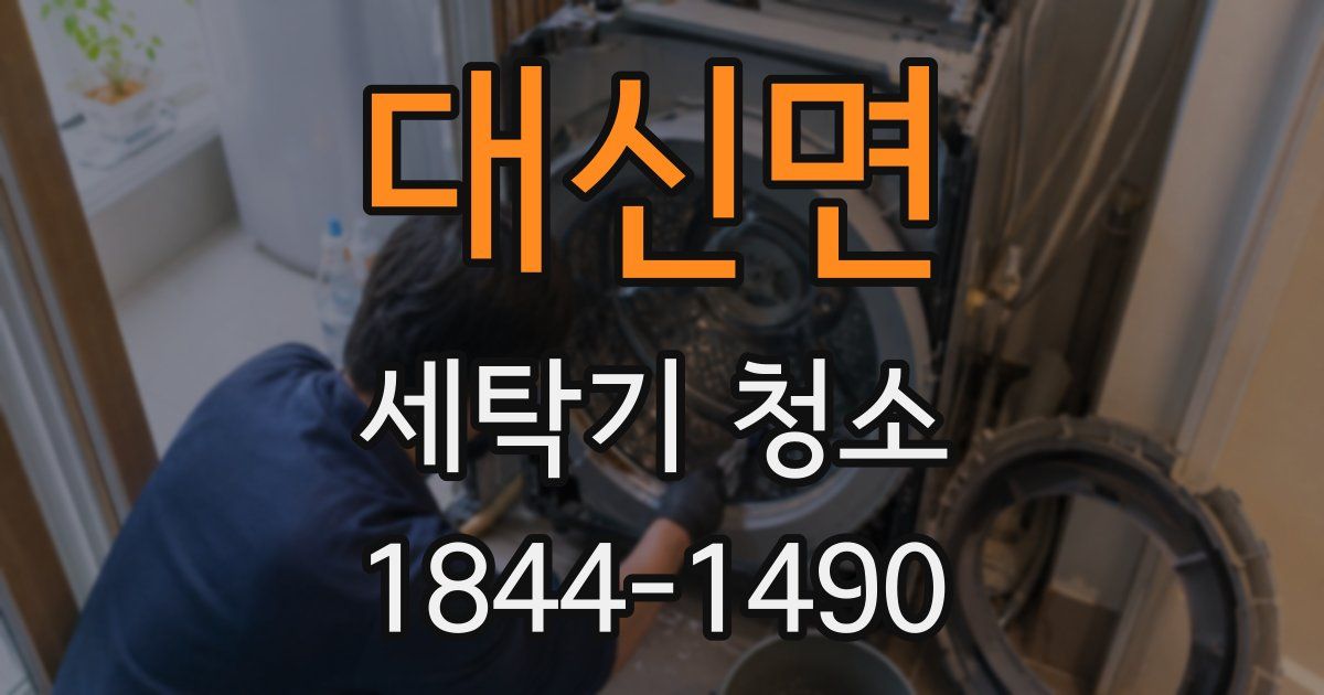 대신면 세탁기 청소