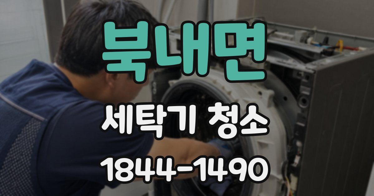 북내면 세탁기 청소