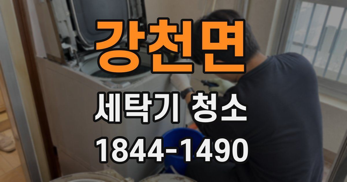 강천면 세탁기 청소