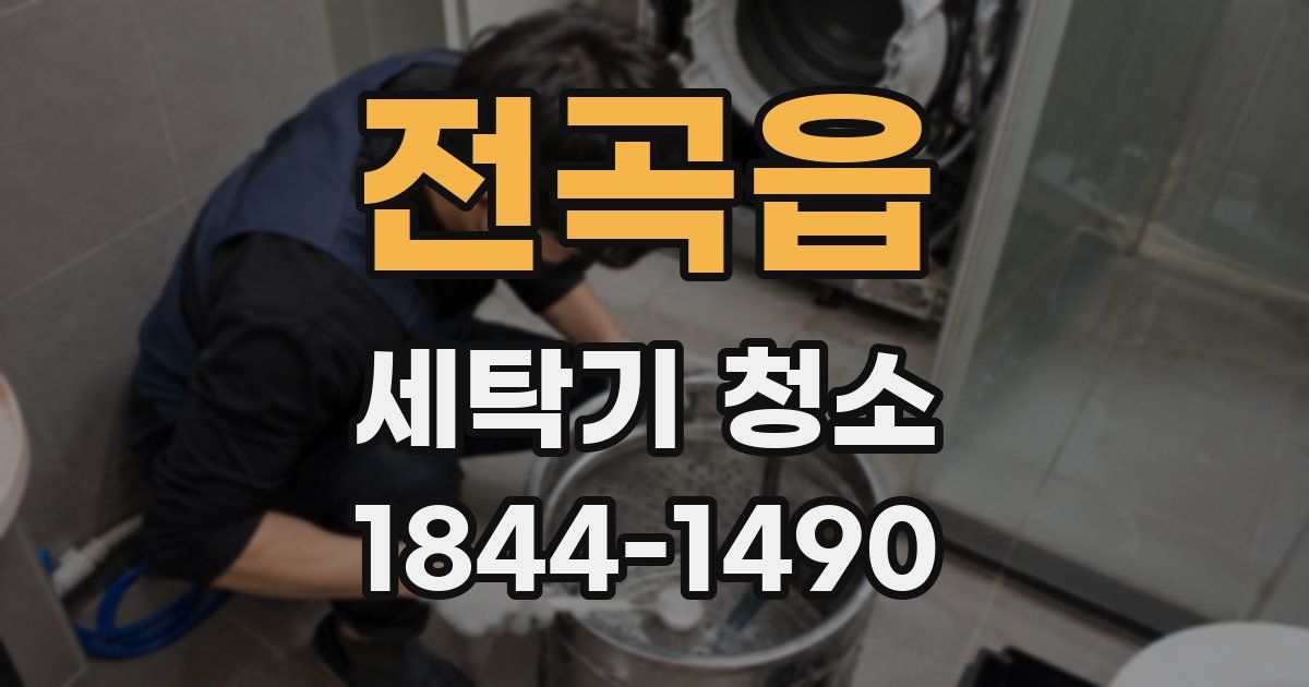 전곡읍 세탁기 청소