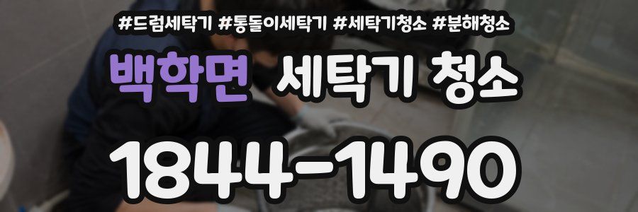 백학면 세탁기 청소