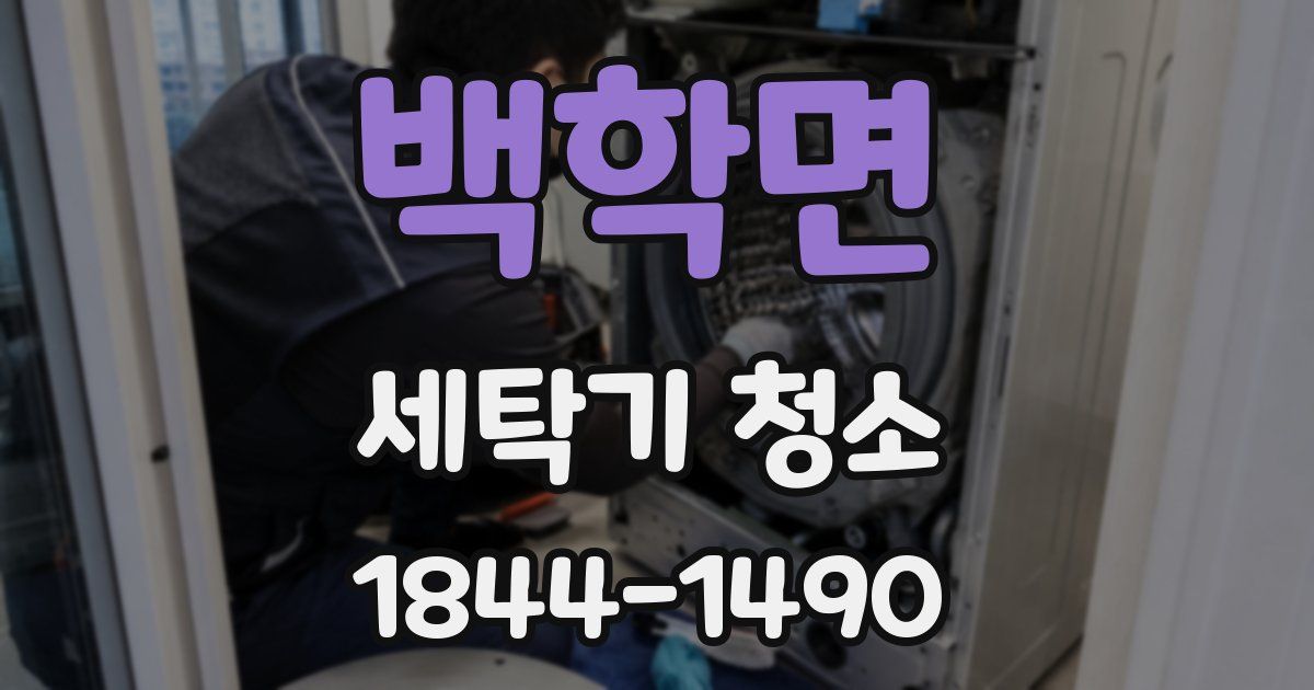 백학면 세탁기 청소