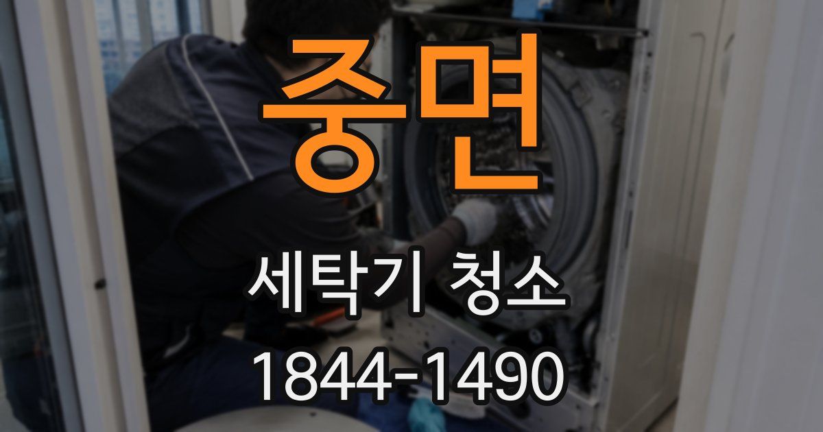 중면 세탁기 청소