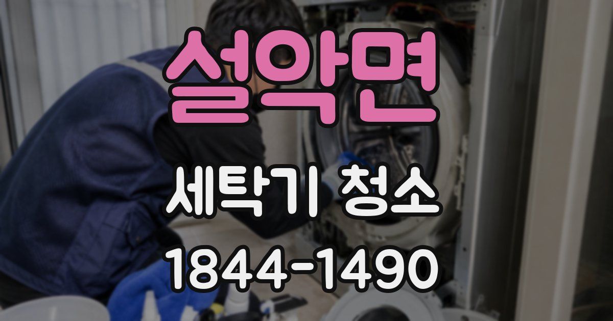 설악면 세탁기 청소