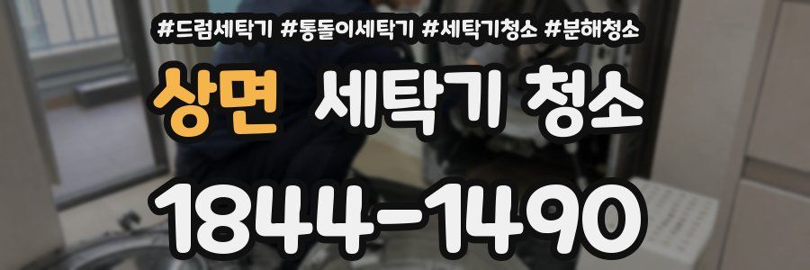상면 세탁기 청소