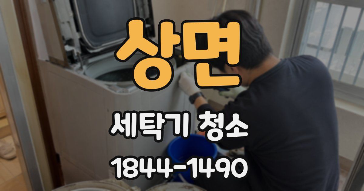 상면 세탁기 청소