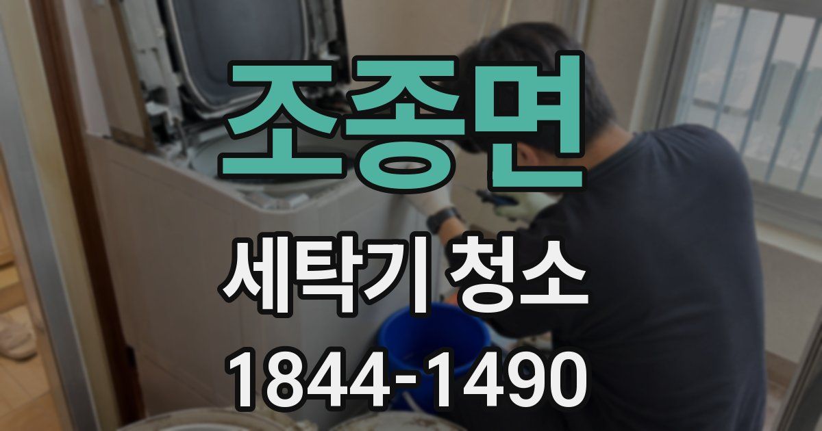 조종면 세탁기 청소