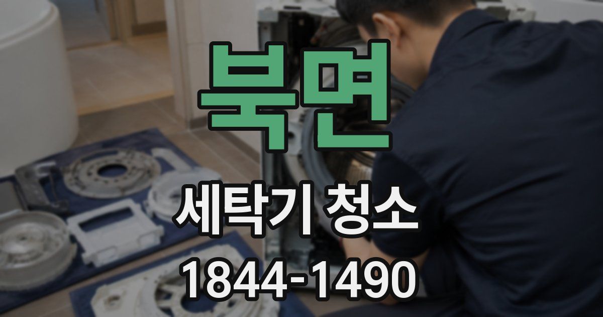 북면 세탁기 청소