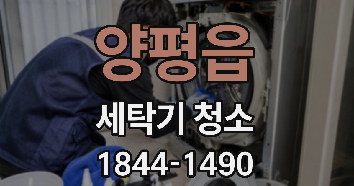 양평읍 세탁기 청소