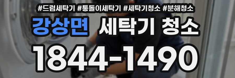 강상면 세탁기 청소