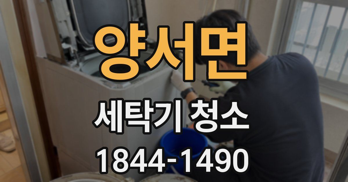 양서면 세탁기 청소