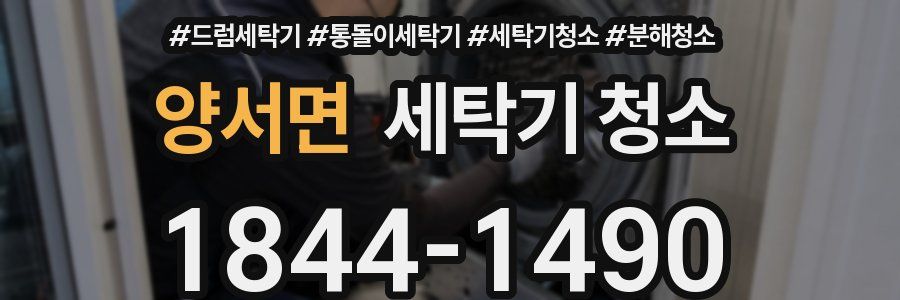 양서면 세탁기 청소