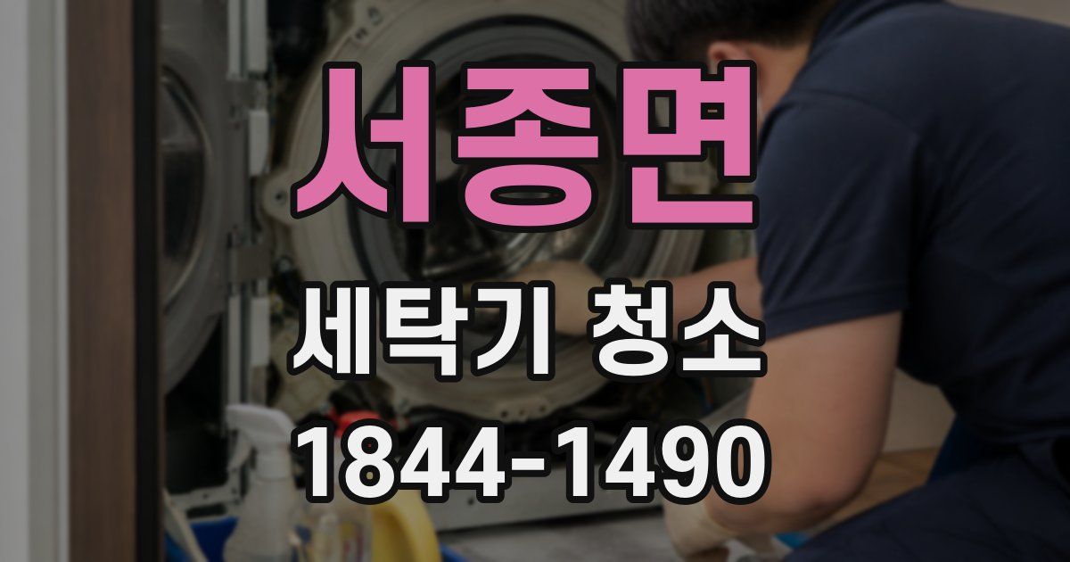 서종면 세탁기 청소