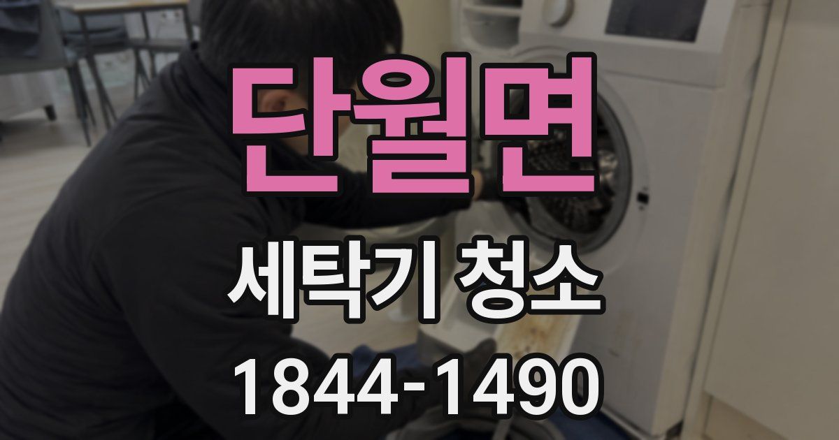 단월면 세탁기 청소