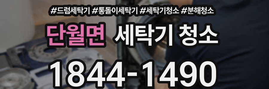 단월면 세탁기 청소
