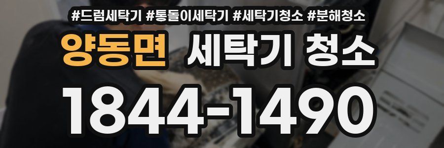 양동면 세탁기 청소