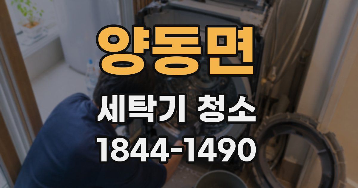 양동면 세탁기 청소