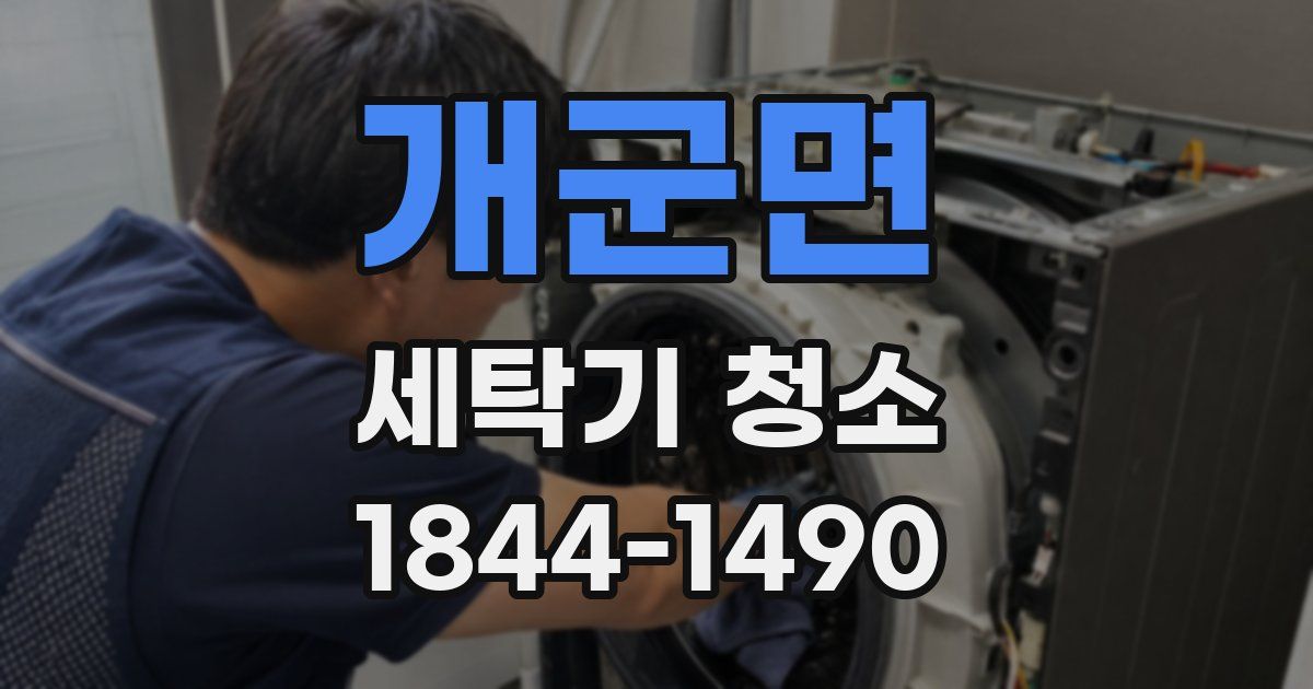 개군면 세탁기 청소