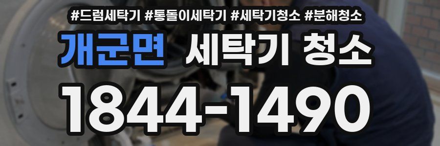 개군면 세탁기 청소