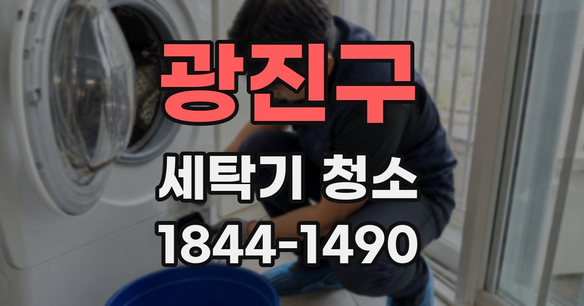 광진구 세탁기 청소