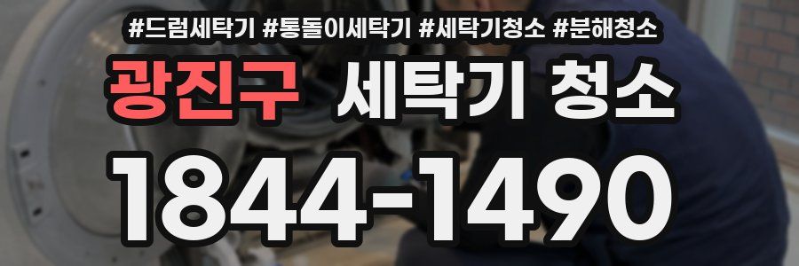 광진구 세탁기 청소